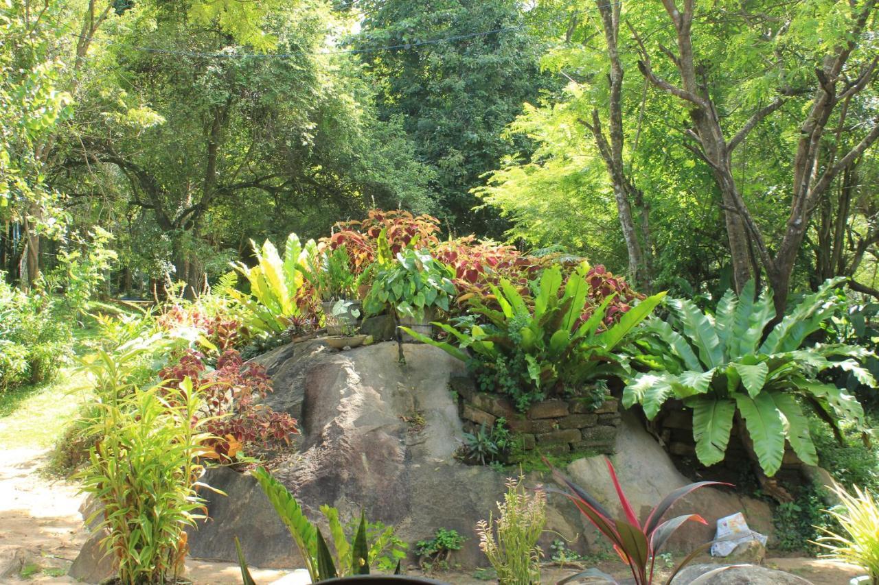 Sigiriya Melrose Villas Exterior foto